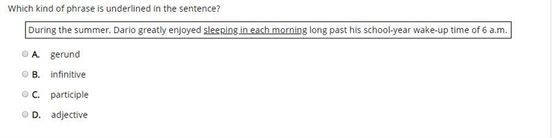 Which kind of phrase is underlined in the sentence? During the summer, Dario greatly-example-1