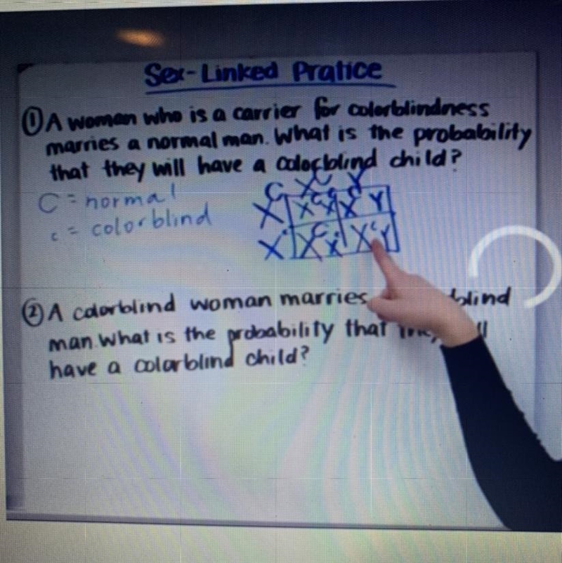 Practice question # 1 What is the probability that they will have a colorblind child-example-1