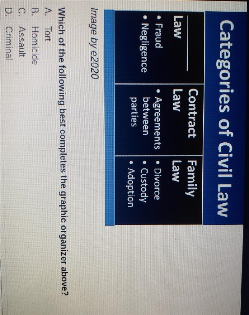 Which of the Following Best Completes The Graphic Organizer above? A. Tort B. Homicide-example-1