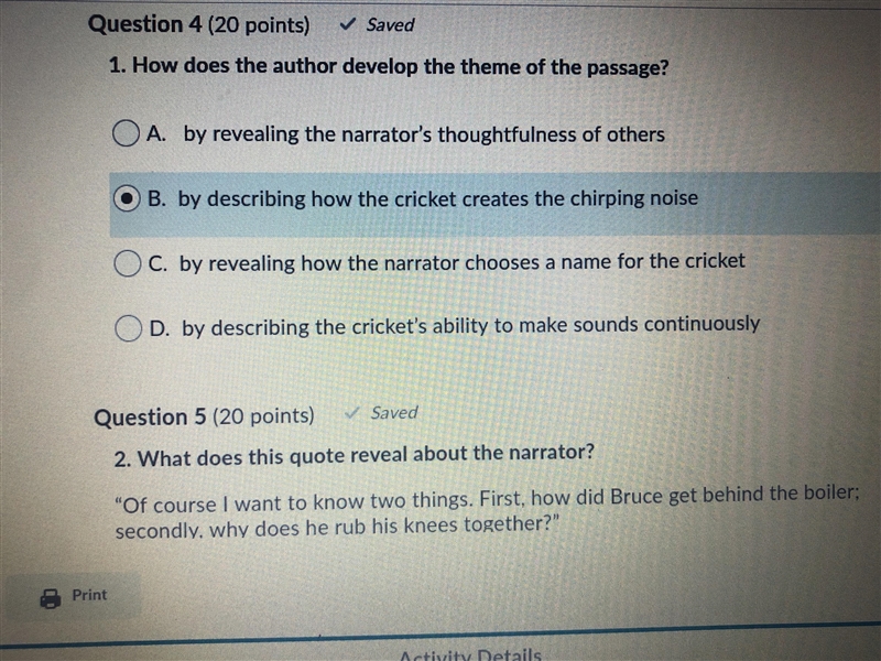 How does the author develop the theme of the passage ? Story Bruce !-example-1