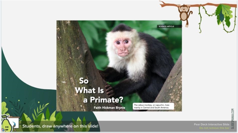 Is classification the best pattern for explaining the broad topic of primates? Explain-example-1