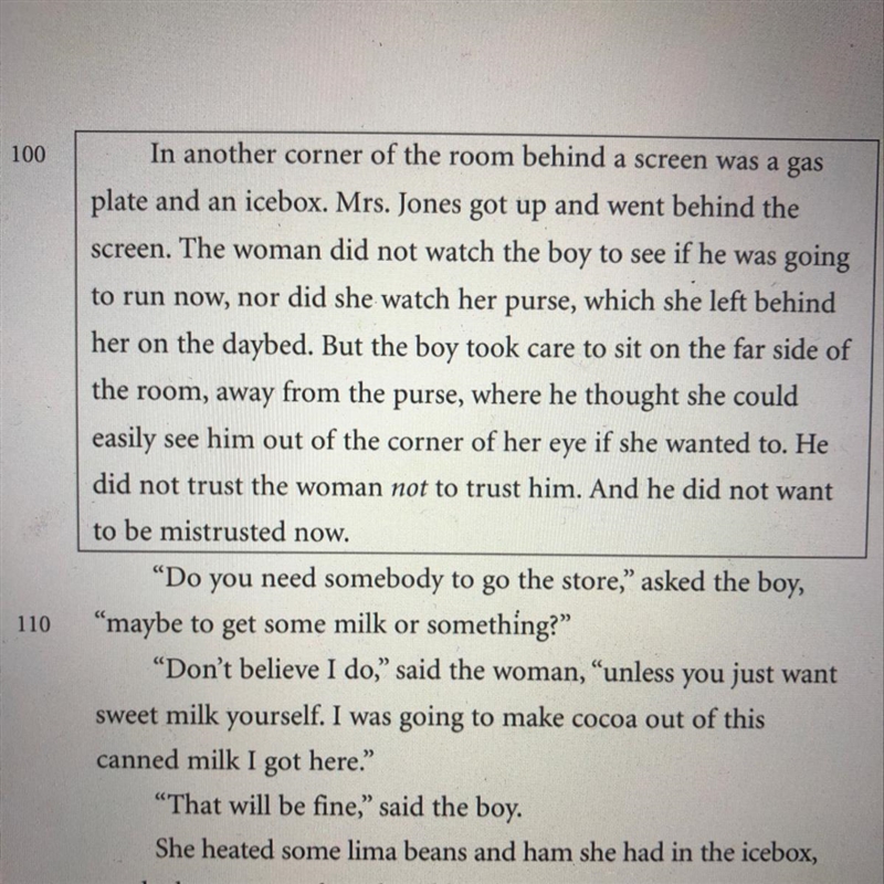 Read the description of Mrs. Jones's home (lines 100–108). What do you learn about-example-1