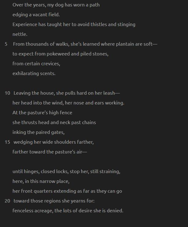 In lines 20 through 22, the speaker observes that the dog wants to — return to the-example-1