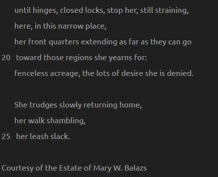 In lines 20 through 22, the speaker observes that the dog wants to — return to the-example-2