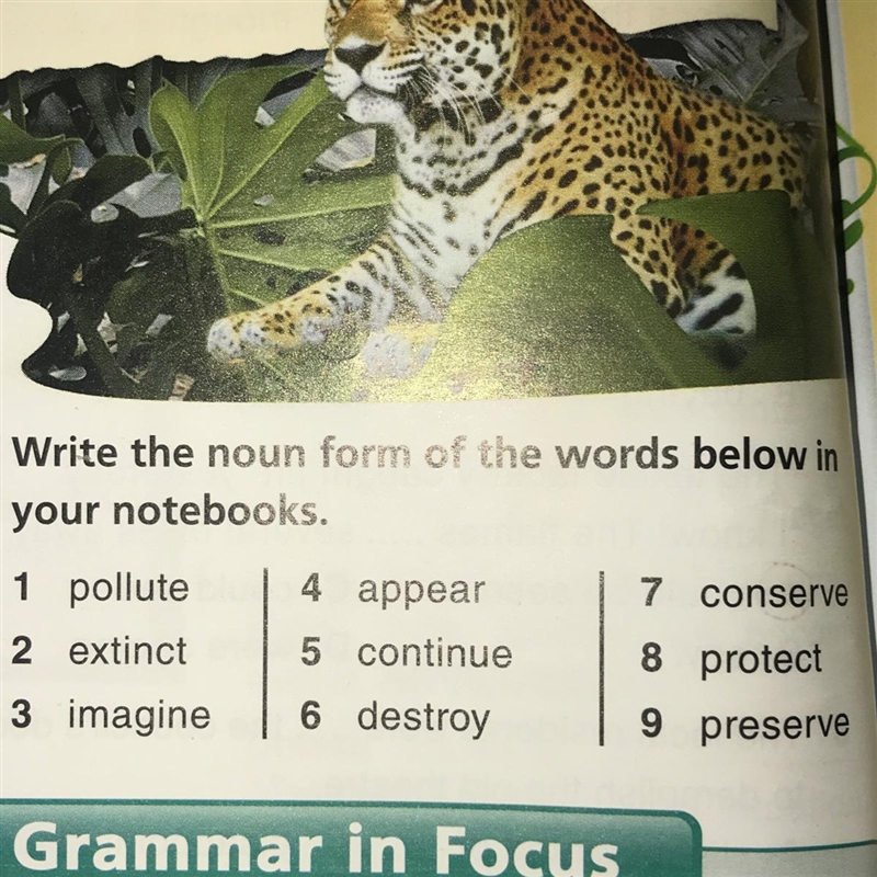 Use the nouns in your sentences. (Example:. pollute - pollution : Pollution of the-example-1