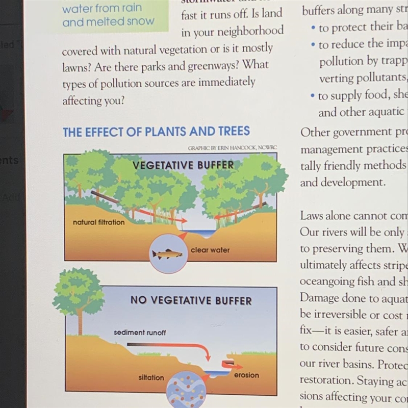 How do plants and trees impact storm water runoff????-example-1