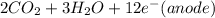 2CO_(2) + 3H_(2)O + 12e^(-) (anode)