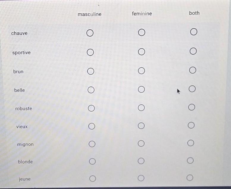 Indicate whether each adjective listed is masculine, feminine, or both. 20pts​-example-1