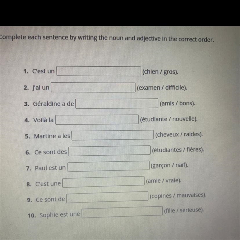 Complete each sentence by writing the noun and adjective in the correct order!✨✨✨-example-1