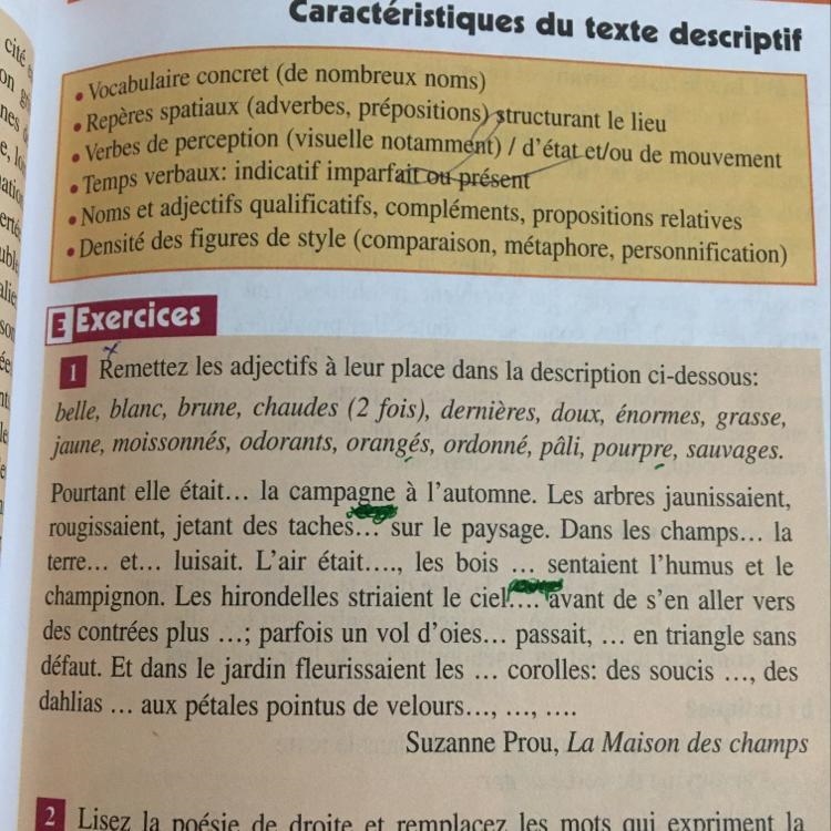 Remettez les adjectifs à leur place dans la description ci-dessous: belle, blanc, brune-example-1