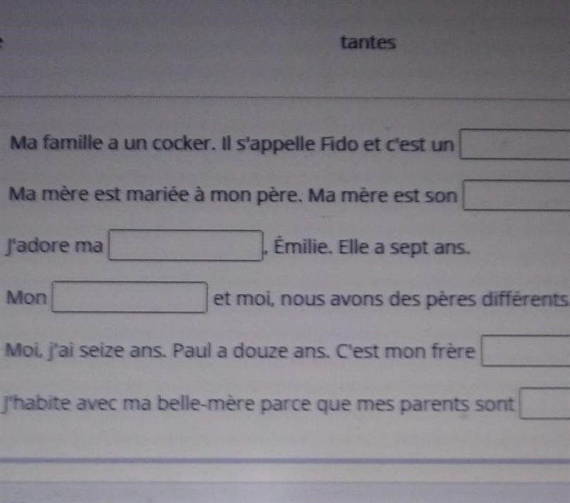 Fill in the blank with the correct word. beau-frère cadet demi-frère fille divorc-example-1