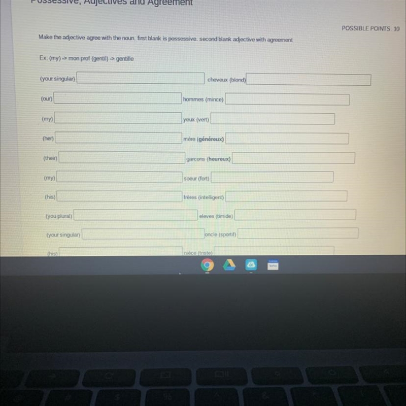 POSSIBLE POINTS: 10 Make the adjective agree with the noun first blank is possessive-example-1
