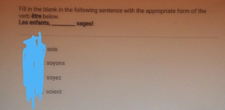 Fill in the blank in the following sentence with the appropriate form of the verb-example-1