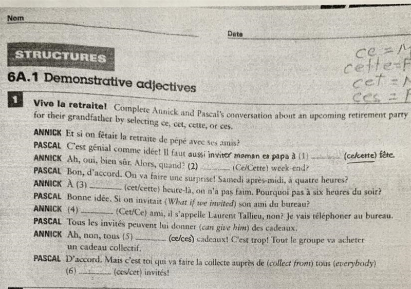 Fill in the blanks with ce/cette/cet/ces-example-1