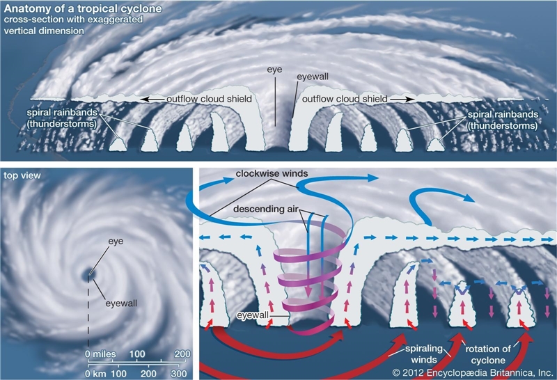 All tropical cyclones need warm air and water to be sustained. As a tropical cyclone-example-1