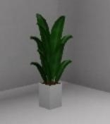 Is this plant vibning or not?-example-1