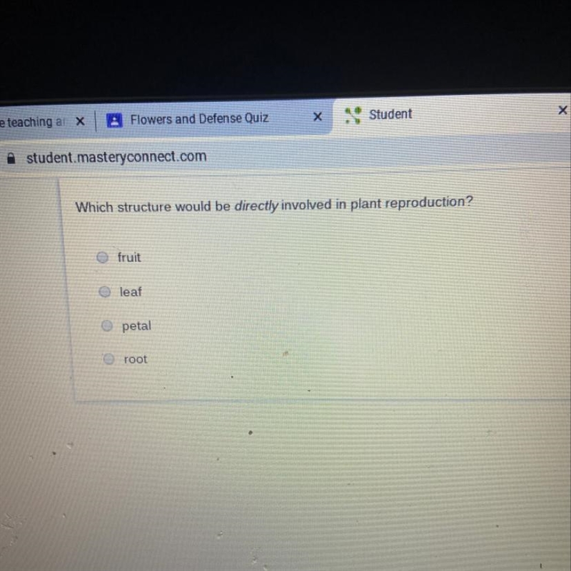 Which structure would be directly involved on plant reproduction?-example-1