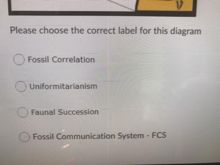 What is the correct choice ?-example-1