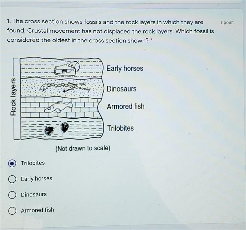 Please help me with this question​-example-1