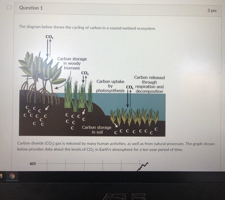 During select 1)photosynthesis 2)carbon dioxide 3)increase 4)decrease Plant take in-example-1