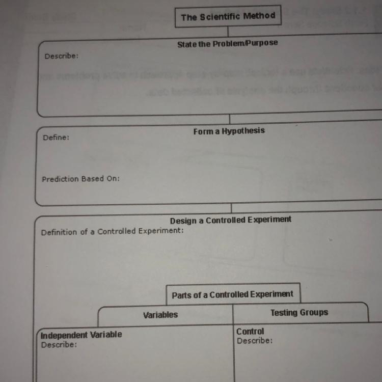 The Scientific Method State the Problem/Purpose Describe?-example-1