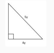 If the perimeter of the triangle is 60, what is the value of y? pleas today-example-1