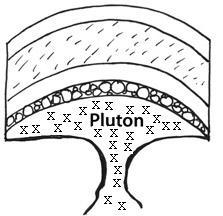 PLLLZ HELP ANSWER IF YOU KNOW The pluton shown is called a laccolith. True False-example-1