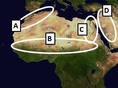 On the map above, which oval circles the Nile River Valley? A. oval A B. oval B C-example-1