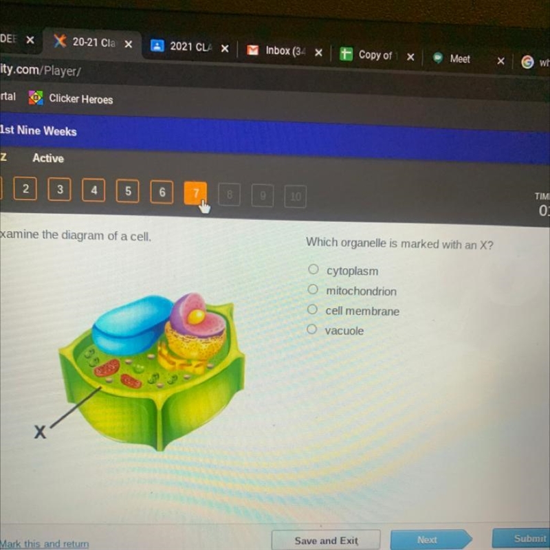 2 3 4 5 6 TIME REMAINING 01:11:38 Examine the diagram of a cell. Which organelle is-example-1