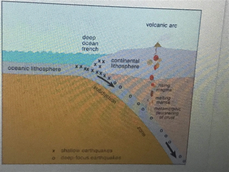 In your own words, please explain why does the ocean crust sink? (Note- The image-example-1