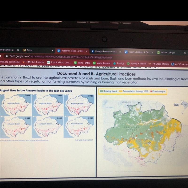 Why is deforestation happening in the Amazon? Hurryy-example-1