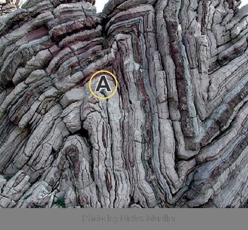 A geologist sees this folded rock when studying in the field. He is drawn to the sample-example-1