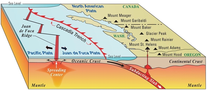 The compressional movement of plate boundaries, such as observed at the Juan De Fuca-example-1