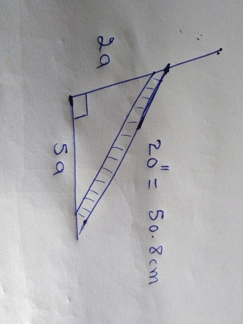 A 20" ladder needs to have a 5:2 ratio of distance to building and distance to-example-1