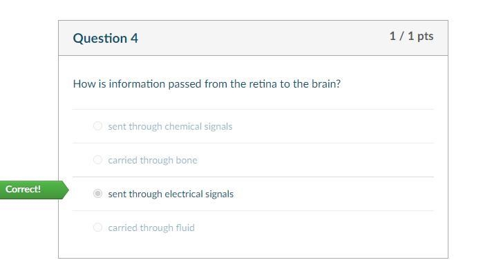 How is information passed from the retina to the brain? A. Sent through chemical signals-example-1