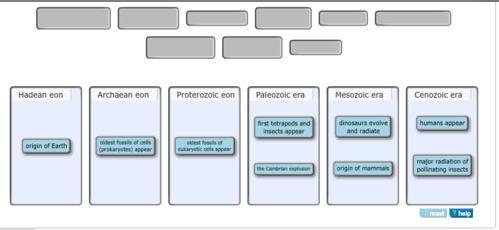 The fossil record provides a glimpse into the evolution of life on Earth. It shows-example-1