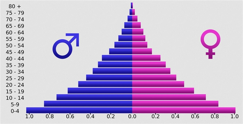 1. What is a population pyramid?-example-1