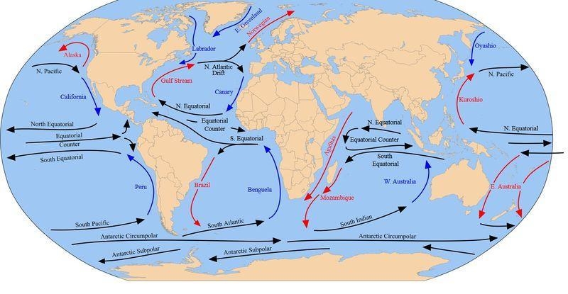 Draw a response to explain how the convection currents model connects with the climate-example-1