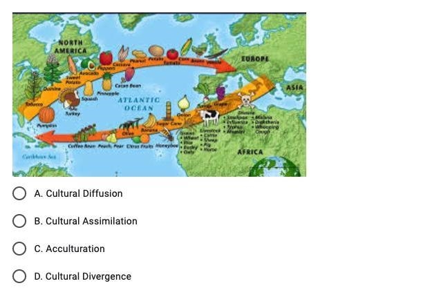 The Columbian Exchange can best be described as which type of cultural exchange?-example-1