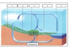 Look at the diagram below. Which part shows transpiration happening? *70 pints* A-example-1