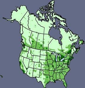 Analyze the map above. Using complete sentences, discuss Canada’s population distribution-example-1