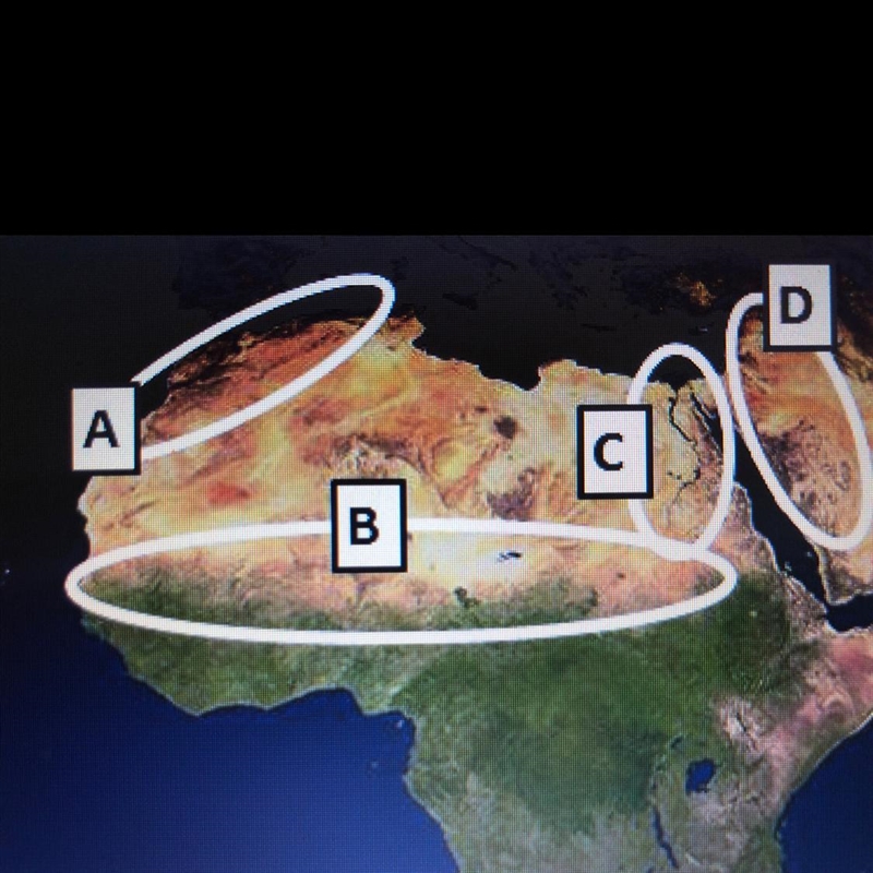 On the map above Which Oval Circles The Nile river valley? A. Oval A B. Oval B C. Oval-example-1