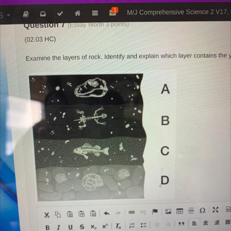 (02.03 HC) Examine the layers of rock. Identify and explain which layer contains the-example-1