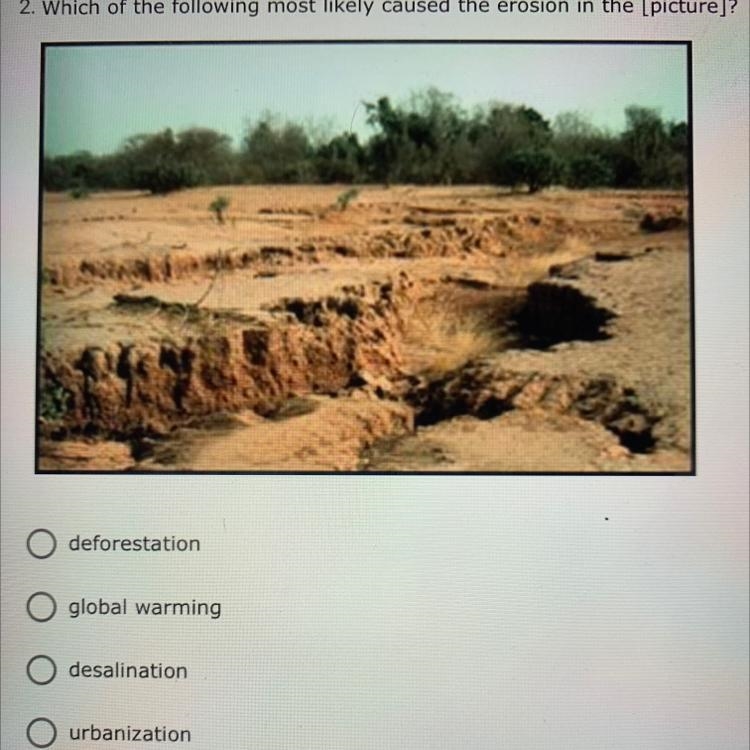 A. Deforestation B. Global warming C. Desalination D. Urbanization-example-1