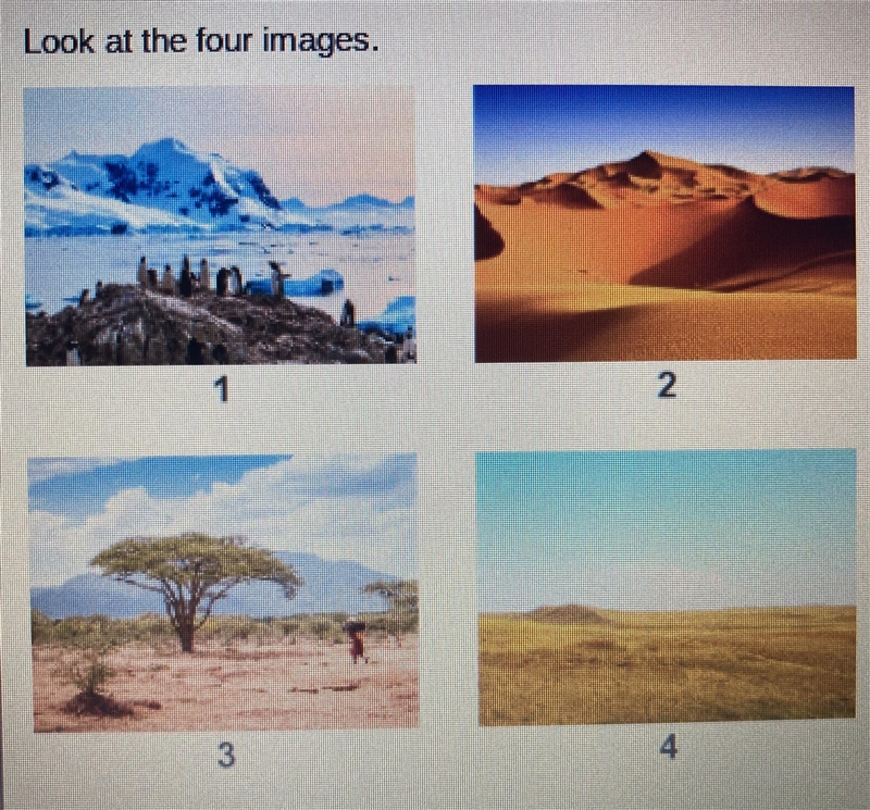 Look at the four images. Which image represents a Tropical rainy climate? 1 2 3 4-example-1