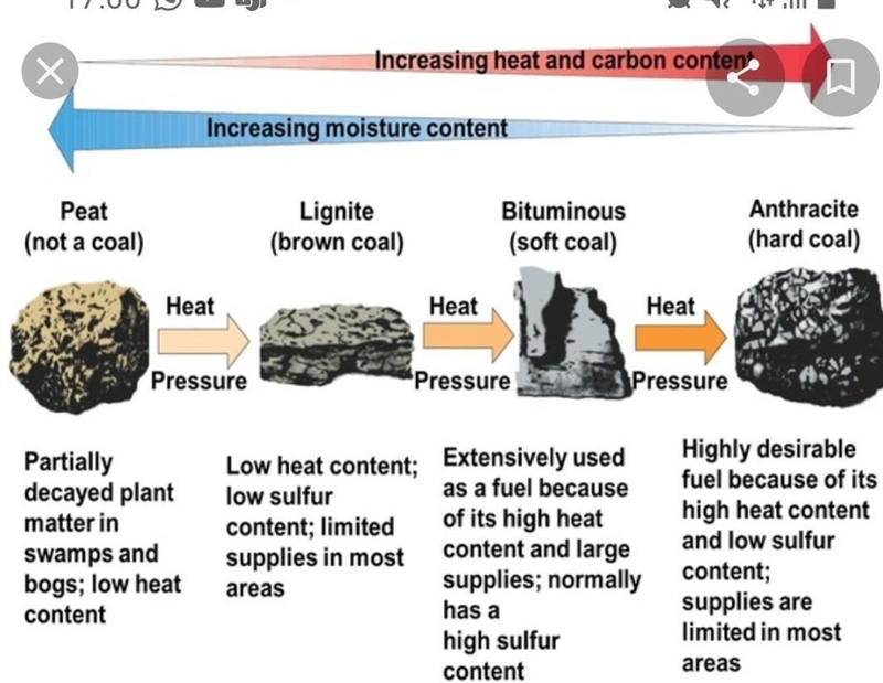 What are the different types of coal?-example-1