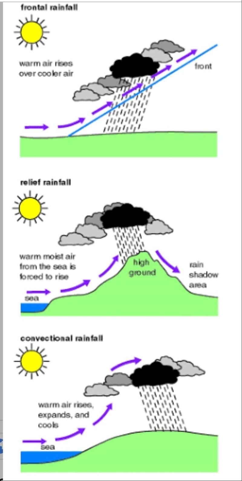 Difference between the three types of rainfall​-example-1