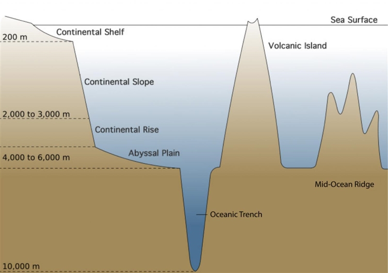 Which features of the ocean floor are found in the open ocean? Check all that apply-example-1