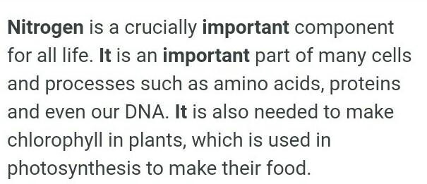 Are nitrogen and oxygen equally important for all the living beings on earth? Do you-example-2