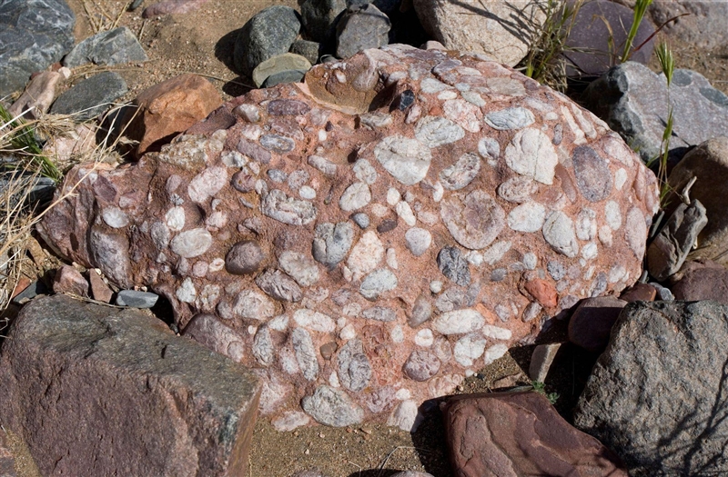 A student made observations of four rock samples. Which of these observations most-example-1